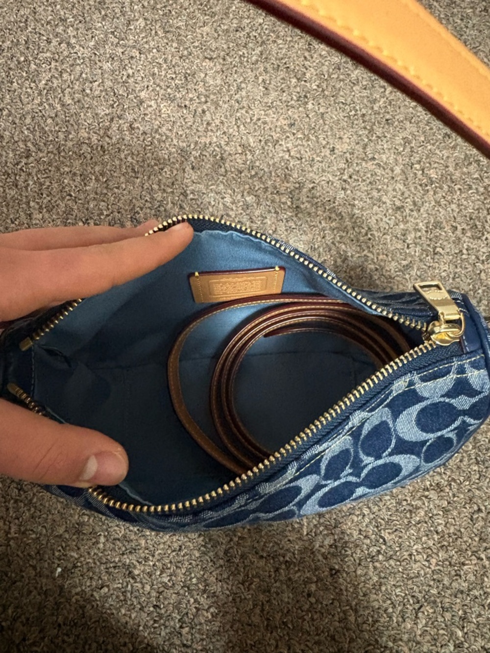 Coach - Picture 4 of 12